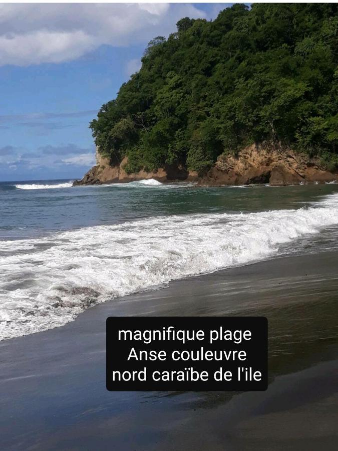 A La Montagne Apartment Le Morne-Vert Ngoại thất bức ảnh