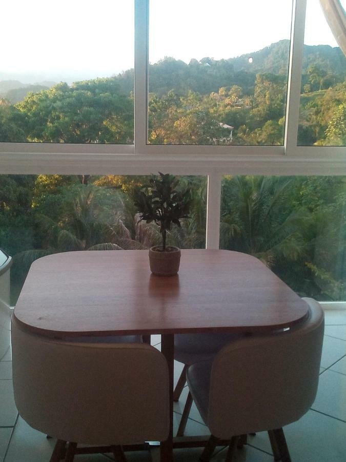 A La Montagne Apartment Le Morne-Vert Ngoại thất bức ảnh